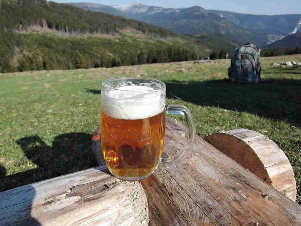 pilsner